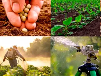 asesoria tecnica el almacen agricola